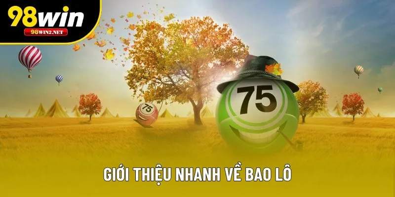 Giới thiệu nhanh về bao lô
