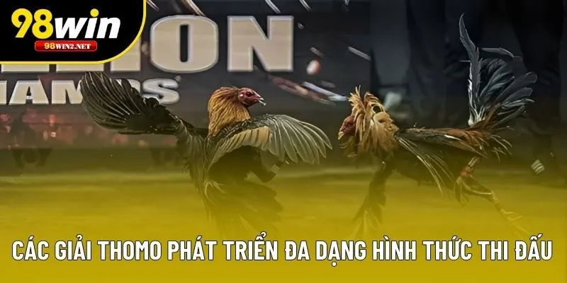 Các giải Thomo phát triển đa dạng hình thức thi đấu
